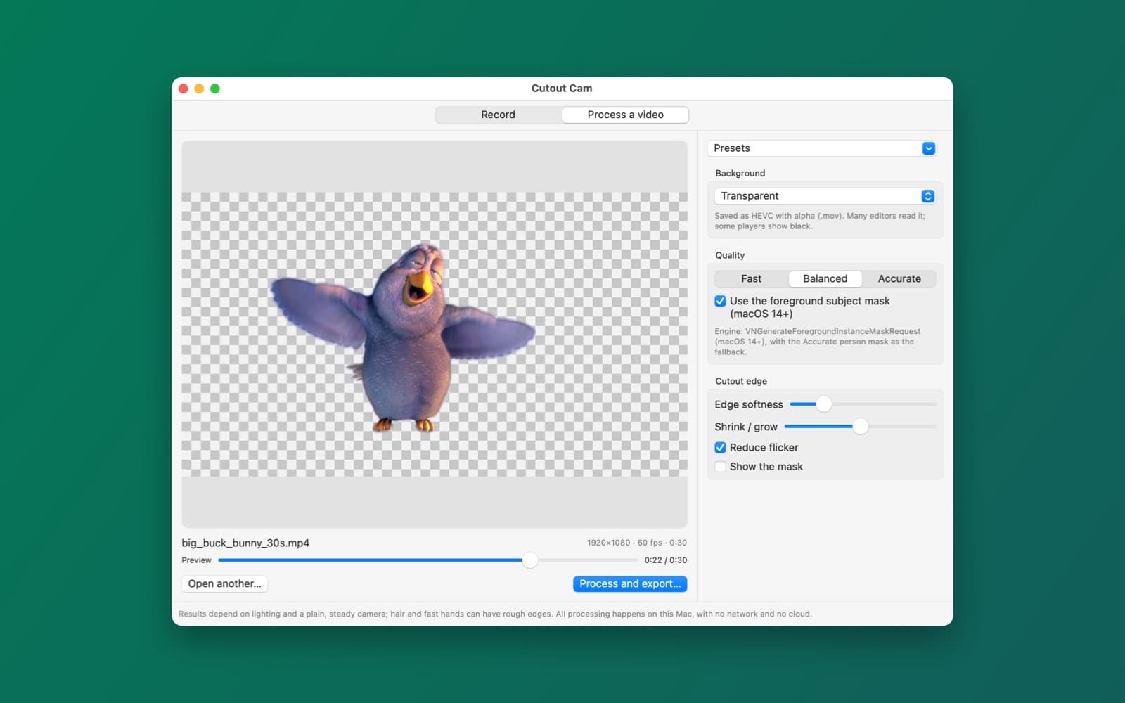 Screenshot of Cutout Cam running on a Mac