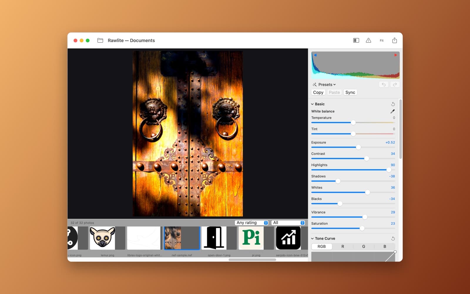 Screenshot of Rawlite running on a Mac